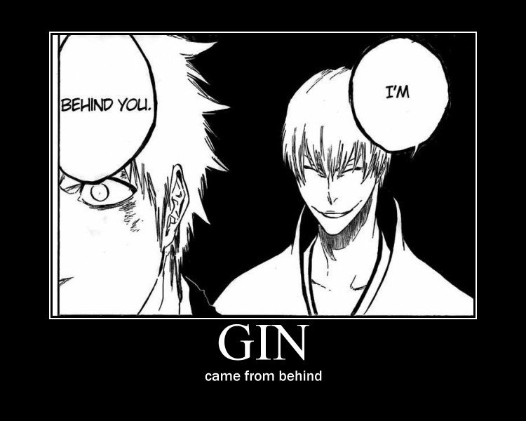 Gin Ichigo