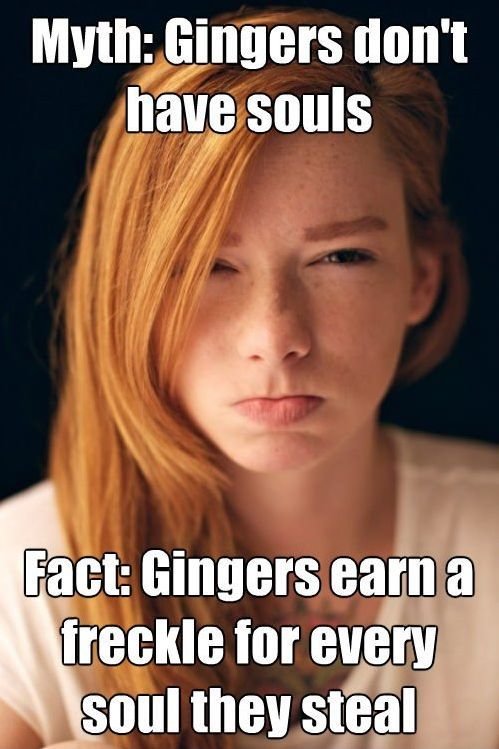 Ginger+SNAP_c02257_4080572.jpeg