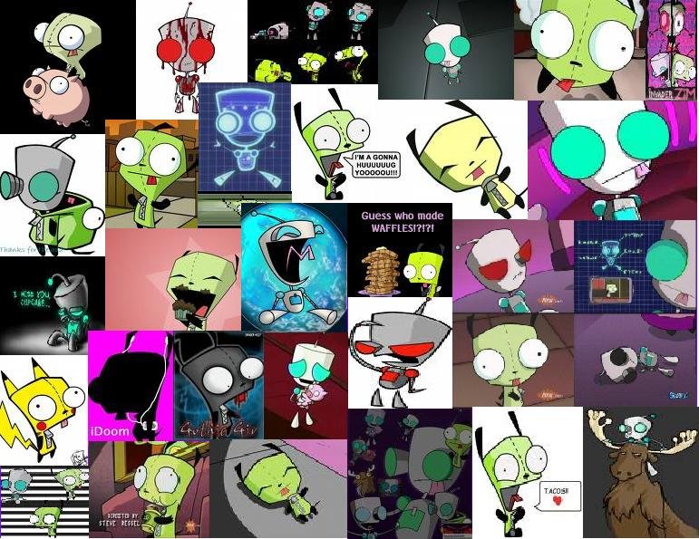 Gir Tags