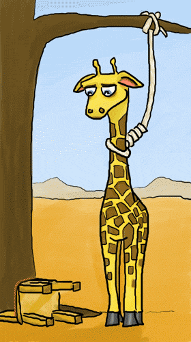 Giraffe_394622_397936.gif