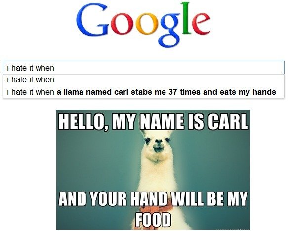 Google+A+llama+named+Carl+ate+my+hands+.