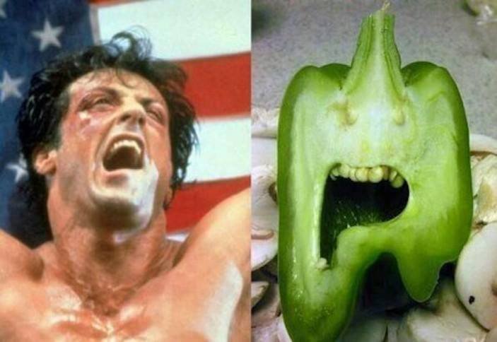 Cosas con cara: el idio-tópic. Green+pepper+Balboa.+A+green+pepper+which+closely+resembles+Sylvester_fc4a12_4986017