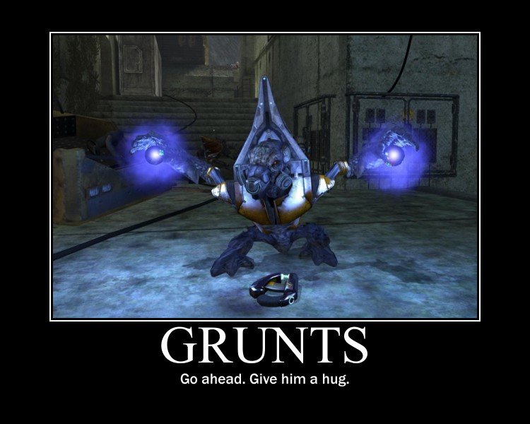 Halo Grunt Funny