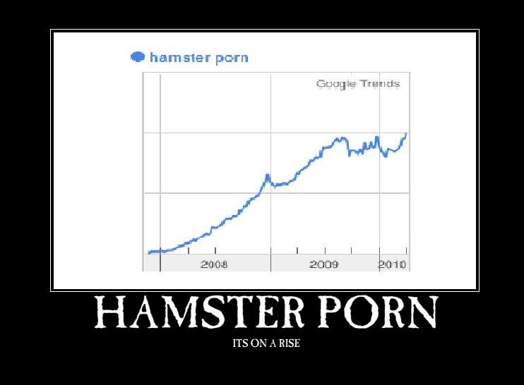 Google Images Hamster