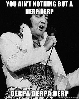 Elvis Derp