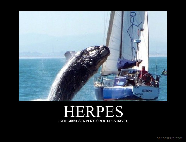 Funny Herpes Pictures
