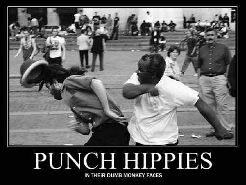 punch a hippie