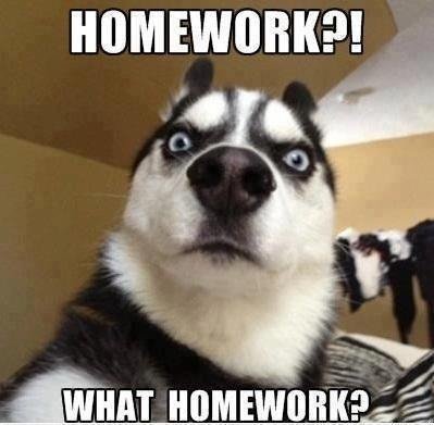 Homework+what+homework+thumb+up+if+u+like+it_a5dc03_3875866.jpg