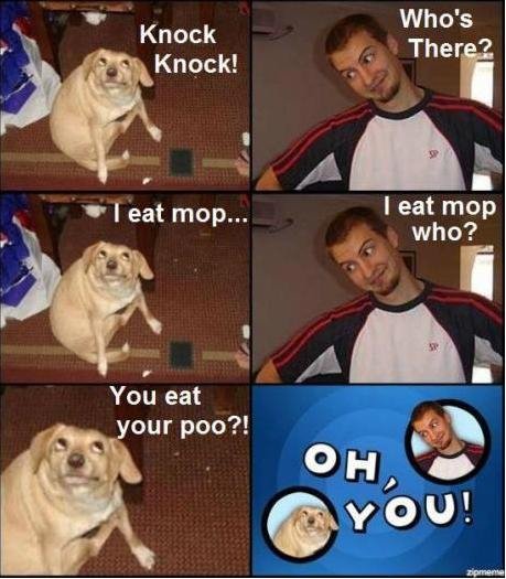 I+Eat+Mop.+Found+this+funny.+Another+Oh+you_c8dad8_3713948.jpg