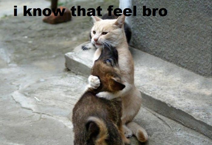 http://static.fjcdn.com/pictures/I+know+that+feel+bro+i+know+that+feel+bro_76920d_3375373.jpg