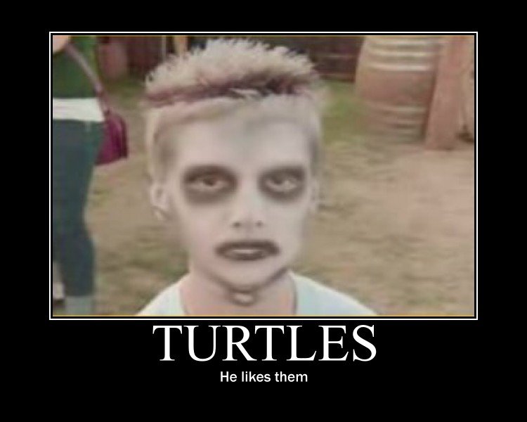 I like turtles. i lol'ed.