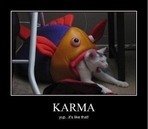 Karma+is+a+b---h+karma+is+a_cb6d7a_41973