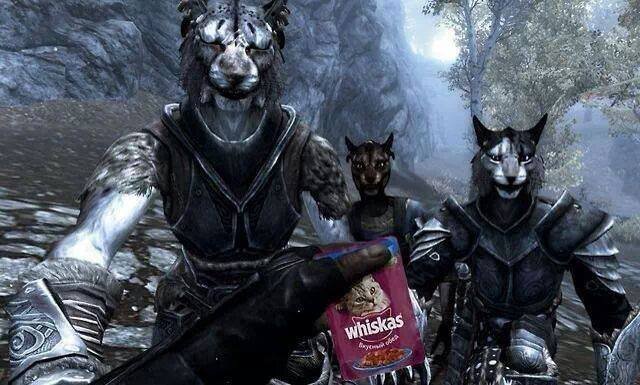 Khajiits+love+Whiskas_47451c_5034512.jpg