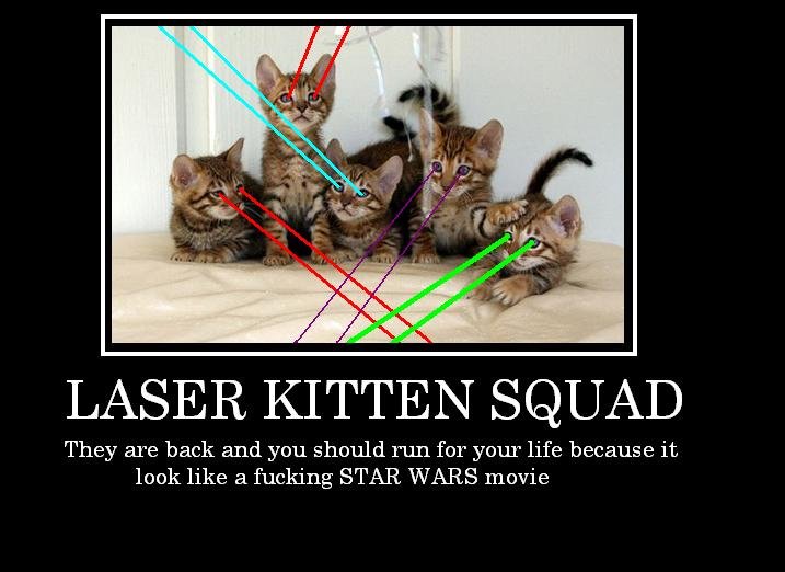 laser cat gif