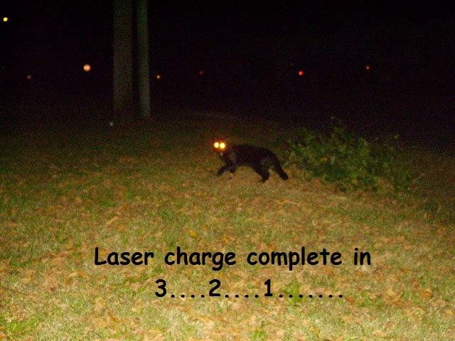 Laser_a2e078_395565.jpg