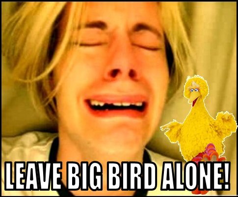 Leave+Big+Bird+Alone+Romney+.+Not+mine+really+funny_7e9172_4151636.jpg