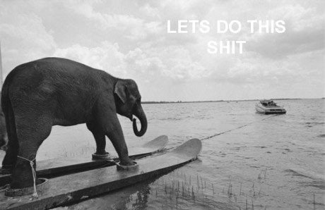 let's it do