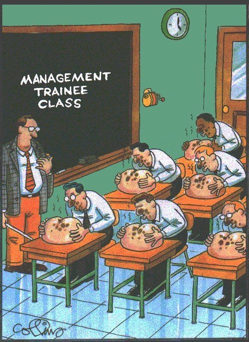 Management+trainee+class_27e3b7_3860088.jpg