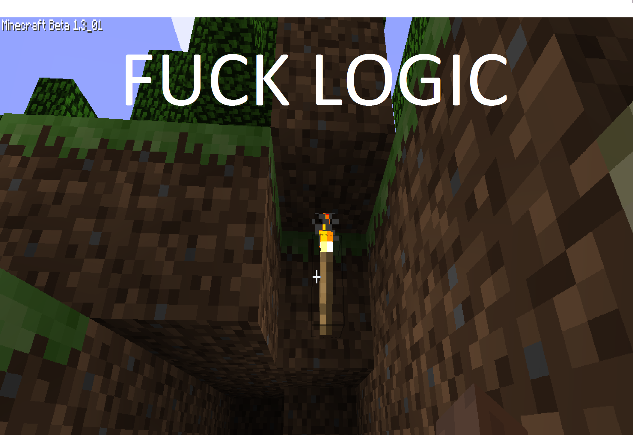 Minecraft Fuck Logic 6578