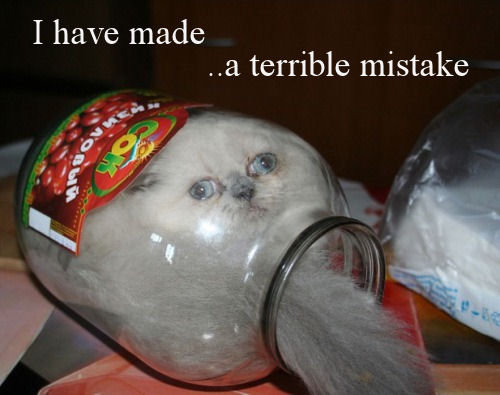 [Image: Mistakes...+I+have+made+a+terrible+one_b...122826.jpg]