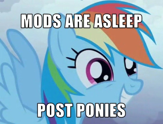 Keldeo=my litte pony? Mods+Are+Asleep+.+i+am+a+bronie_aab31f_3167576