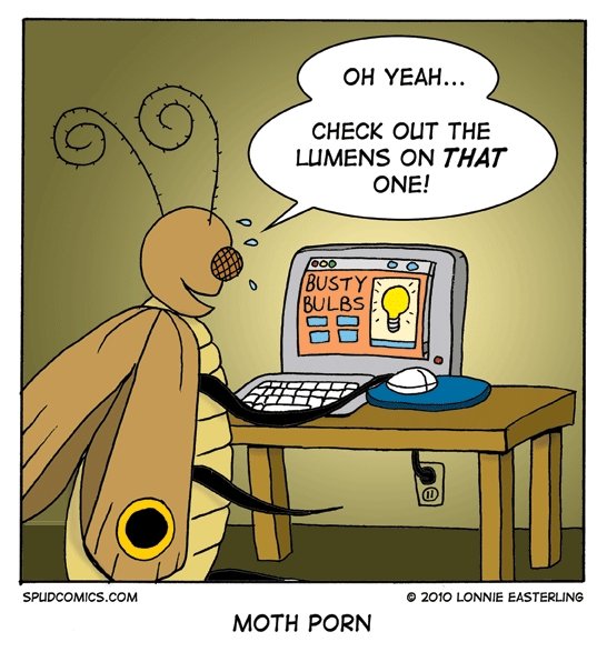 Moth Porn 73