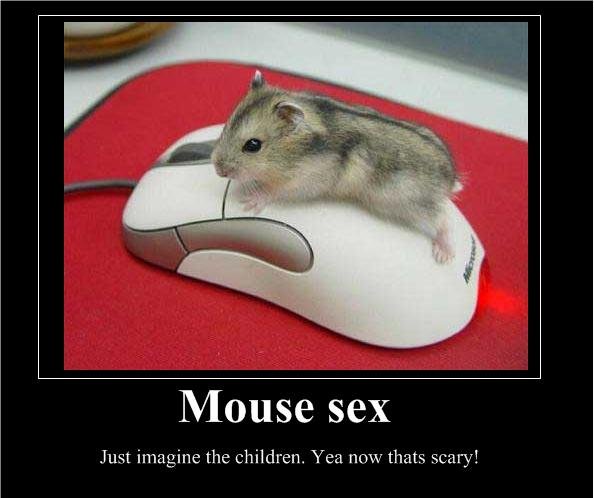 Mice Sex 88