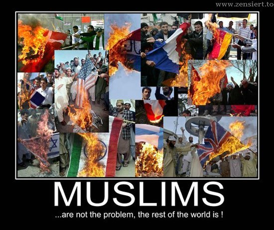 Muslims+are+not+the+problem_c12fcf_5514957.jpg