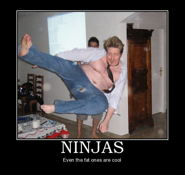 Ninjas_ea4d89_410683.jpg