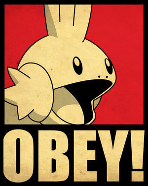 obey mudkip