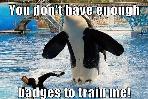 Orca Funny