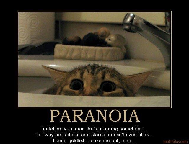 Paranoia_0ab958_1813509.jpg