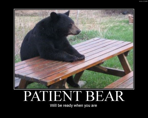 Patient+Bear_70d1de_3973404.jpg
