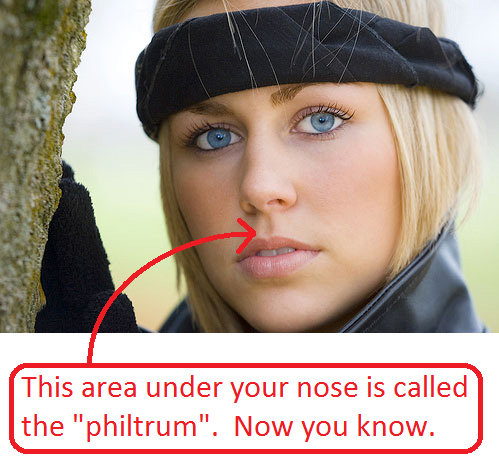 Philtrum_5677a1_351050.jpg