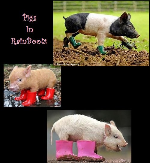 Pig In Boots