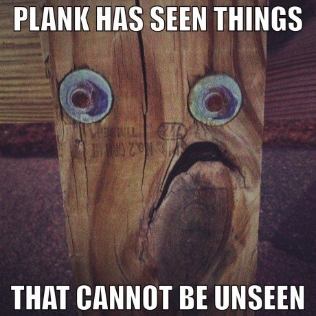 Plank+noooooo_ef1da4_4644358.jpg