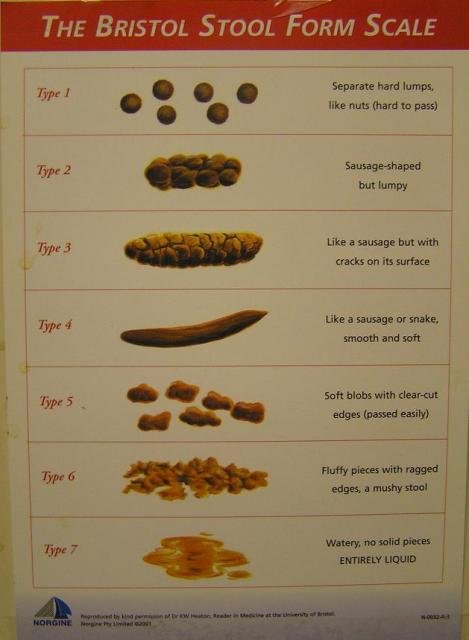 Poop Scale