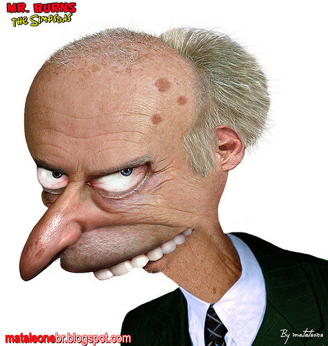 Mr Burns Profile