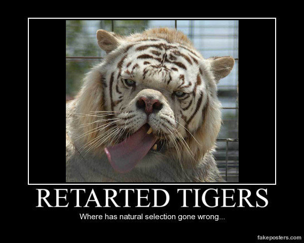 retarted tigers