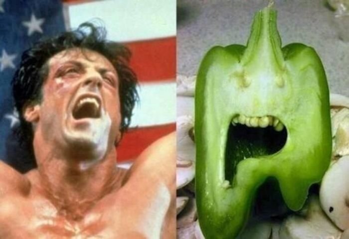 Rocky+bellpepper_4828c5_4995772.jpg