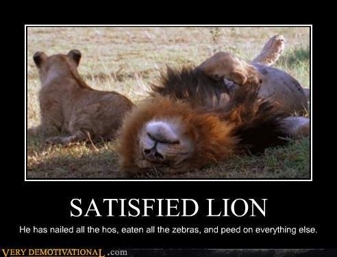 Satisfied Lion