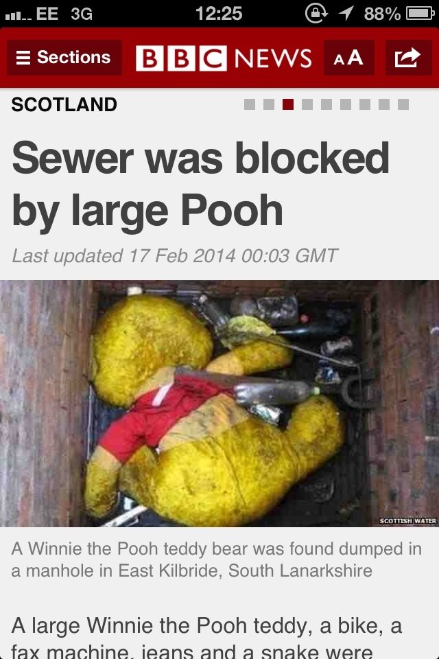 Sewer+blocked+by+a+large+Pooh_e23d9d_5021815.jpg