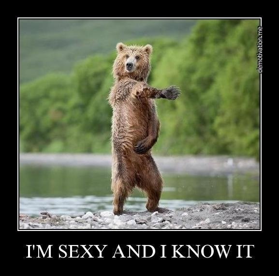 Sexy+Bear.+Not+OC+Just+found+on+interwebz_d758e1_3402999.jpg