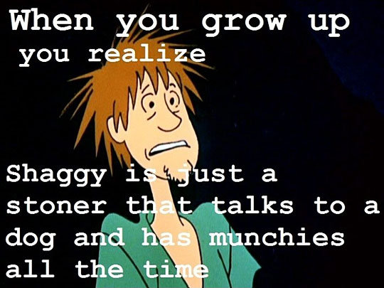 Stoned Shaggy