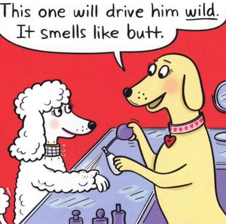 Smell Like Butt 4