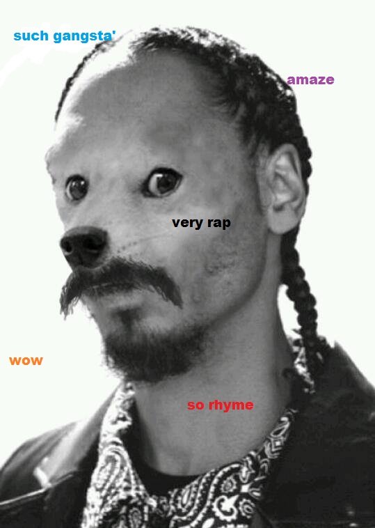 Snoop+Doge_7a8d50_4880969.jpg