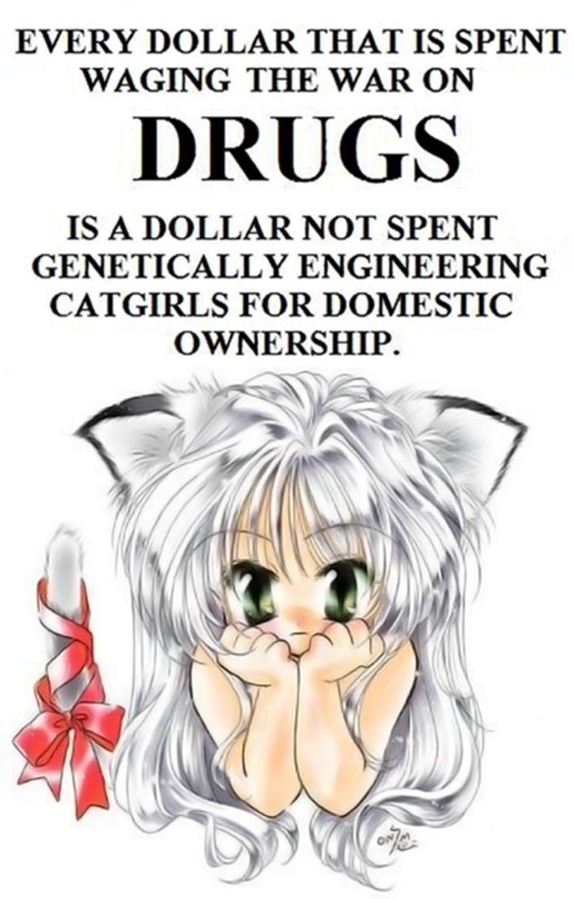 Genetically Engineered Catgirls for Domestic Ownership! (Black) | Mask