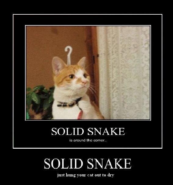 Funny Solid Snake