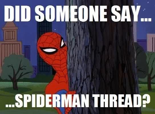 SpiderMan_f9bd22_2484792.jpg