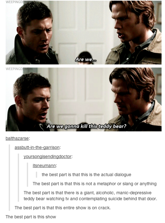 Plaatjes & quotes - Page 19 Spn+anybody+i+m+surprised+that+there+isn+t+more+supernatural+posts_8a8e16_4925402